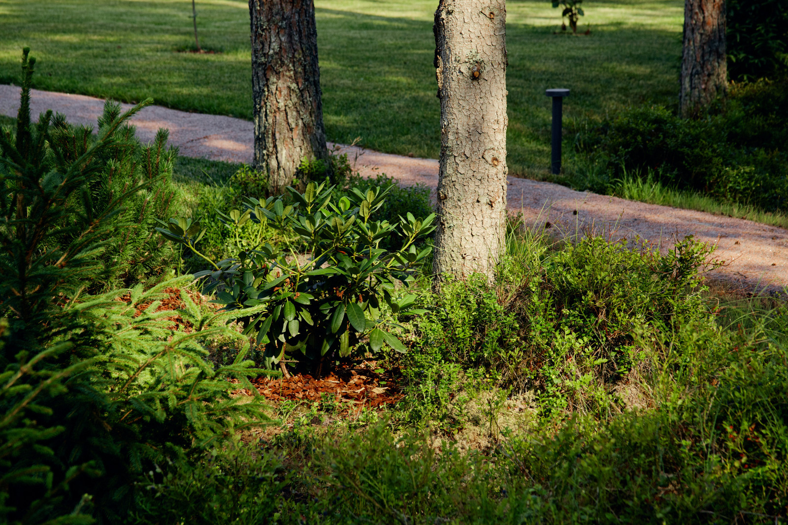 Репино парк сад камня