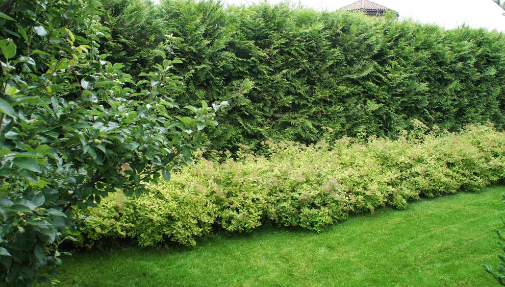 Участок 30 соток