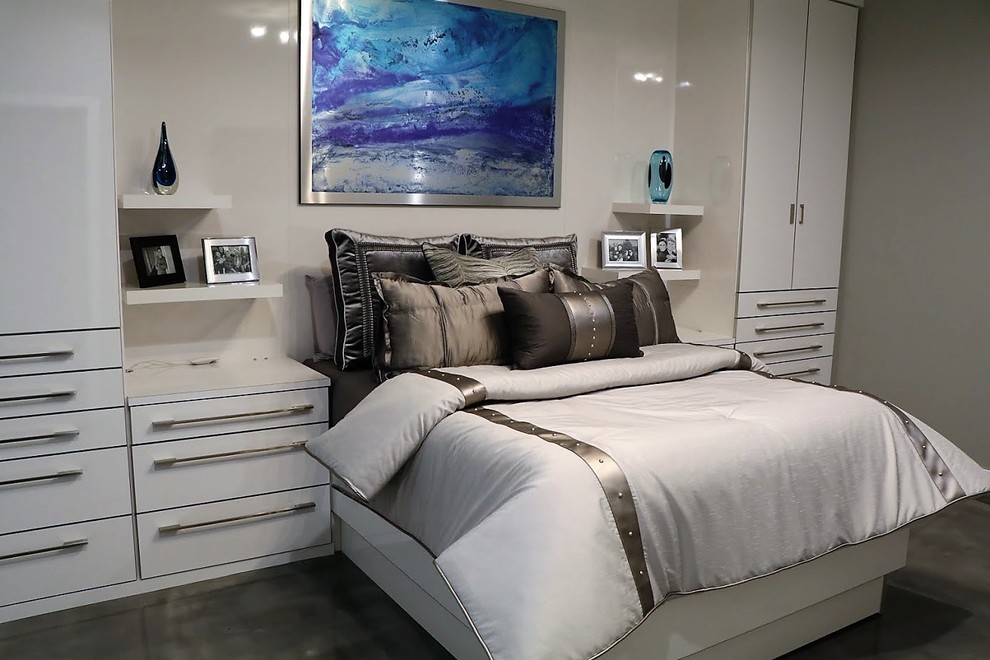 Inspiration for a modern master bedroom in Other with grey walls, no fireplace and grey floor.
