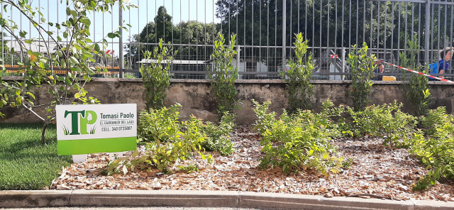 Verde scolastico modern-garten
