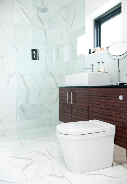 wet room shower modern-bathroom