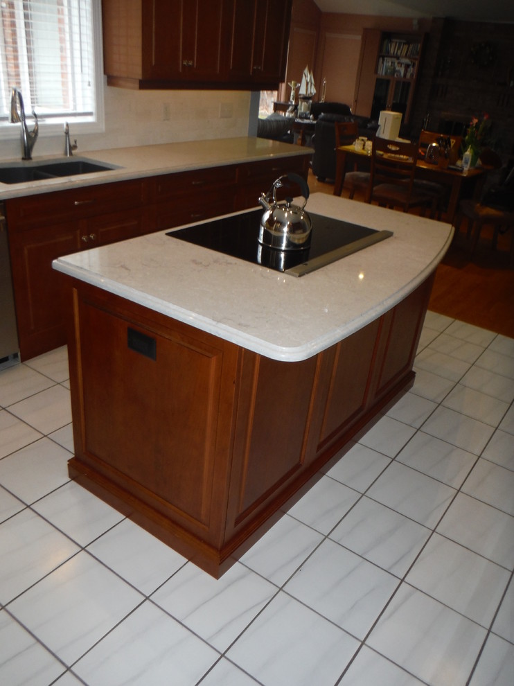 Kitchen - transitional kitchen idea in Toronto