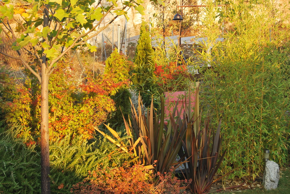 Jardín en la Sierra Norte