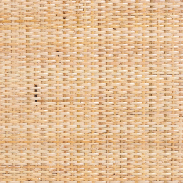 Mariam Natural Rattan Collection - Tropical - Bar Stools And Counter ...