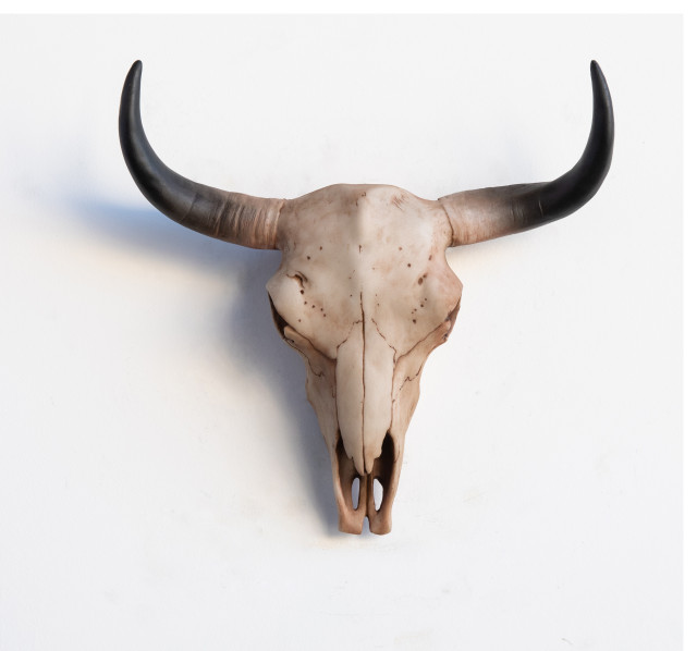 Bison Skull Head Wall Mount, Realistic