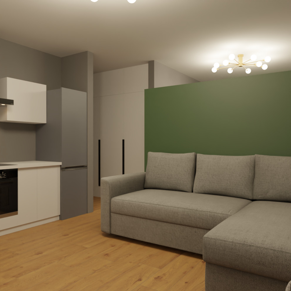 Визуализация трех типовых квартир под сдачу в аренду