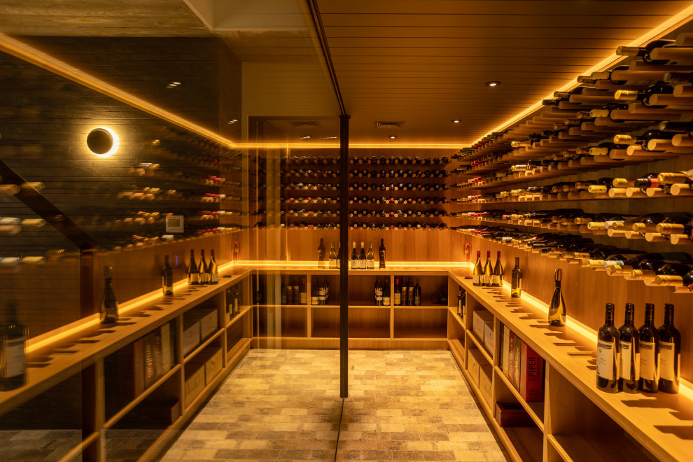 Inspiration for a modern wine cellar in Sunshine Coast.