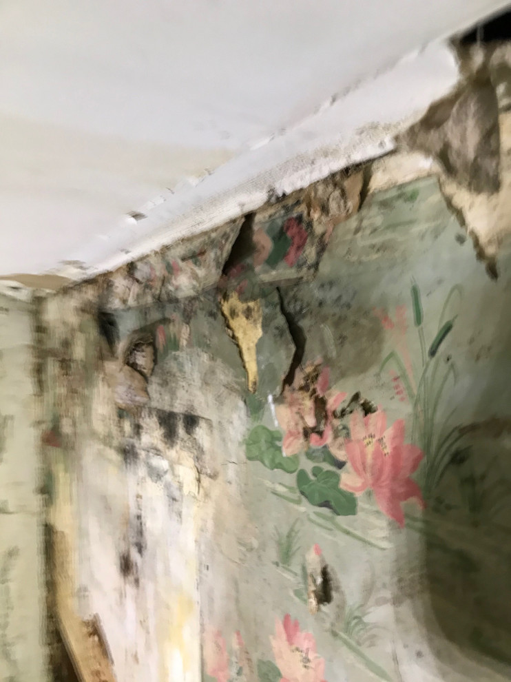 Water mitigation