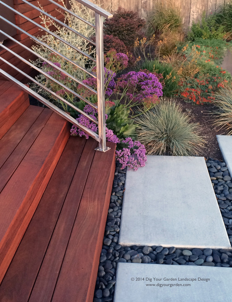 This is an example of an expansive contemporary sloped full sun garden for fall in San Francisco with a garden path and decking.