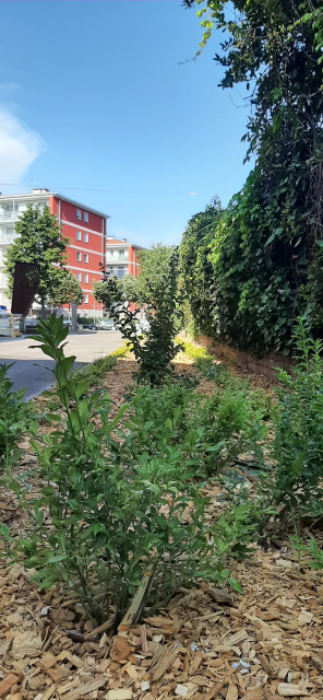 Verde scolastico modern-garten