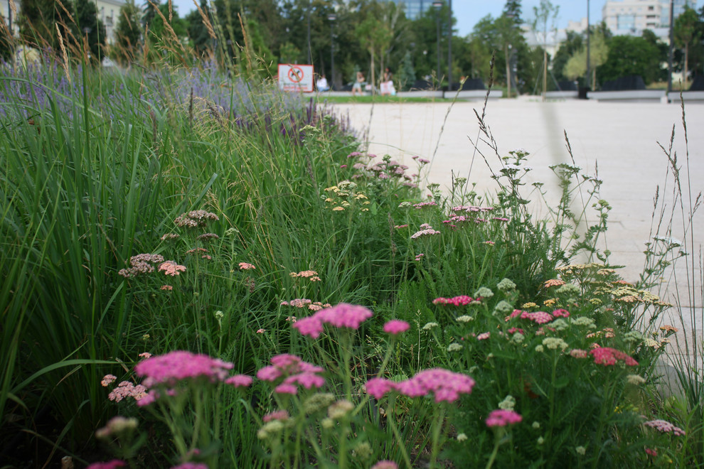 Цветники Советской площади