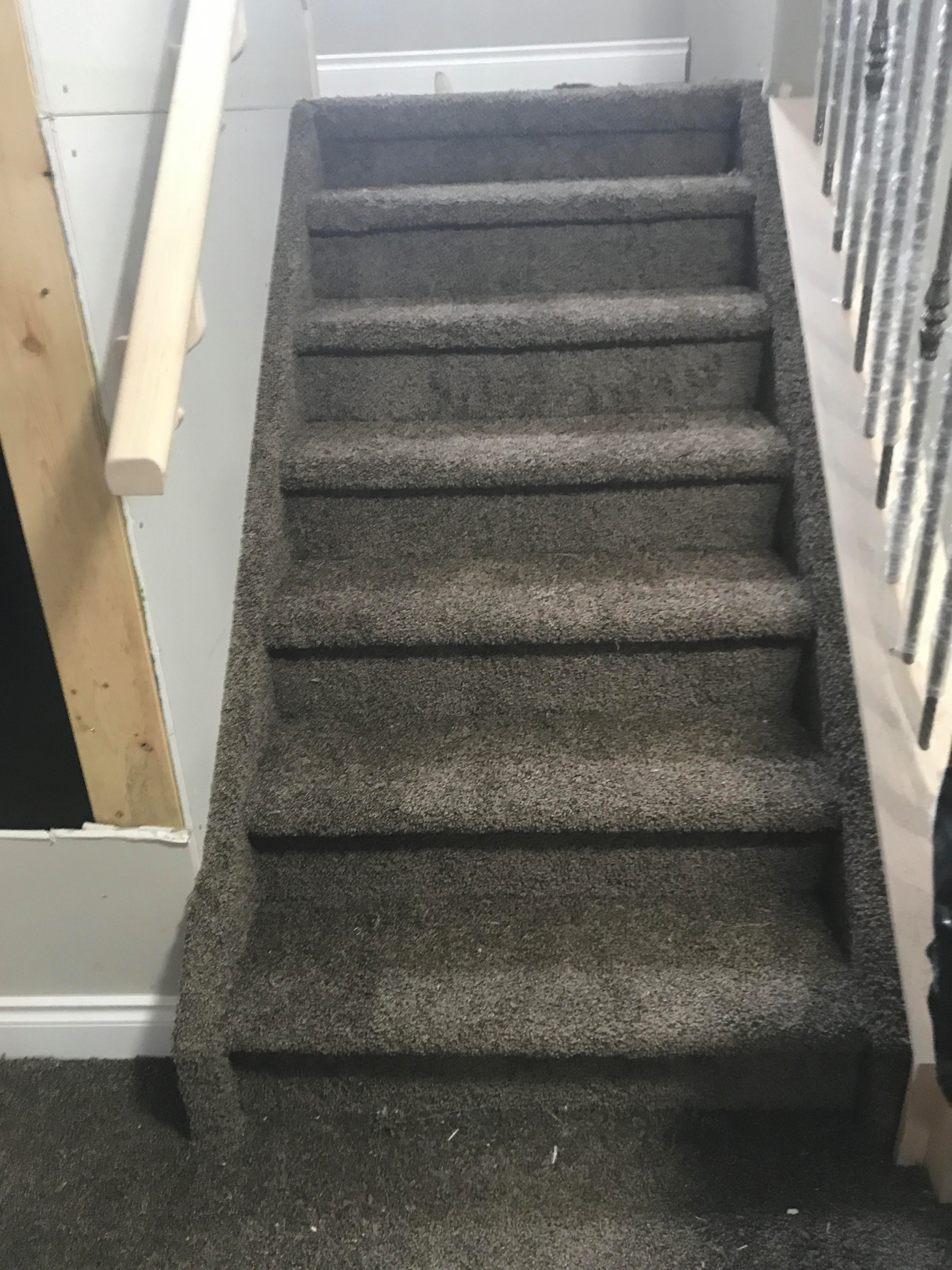Leduc Carpet Project
