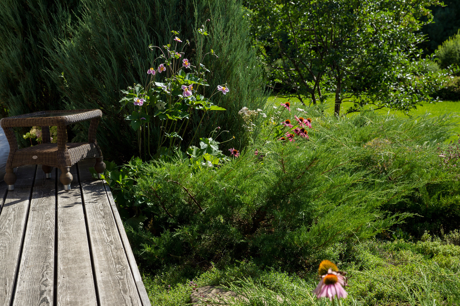 Garden of Elena Astashkina in Moscow Region