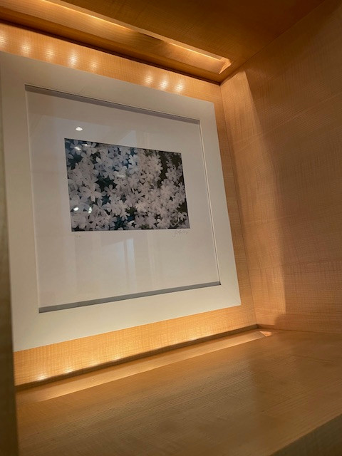 Laurel Feldman Photography