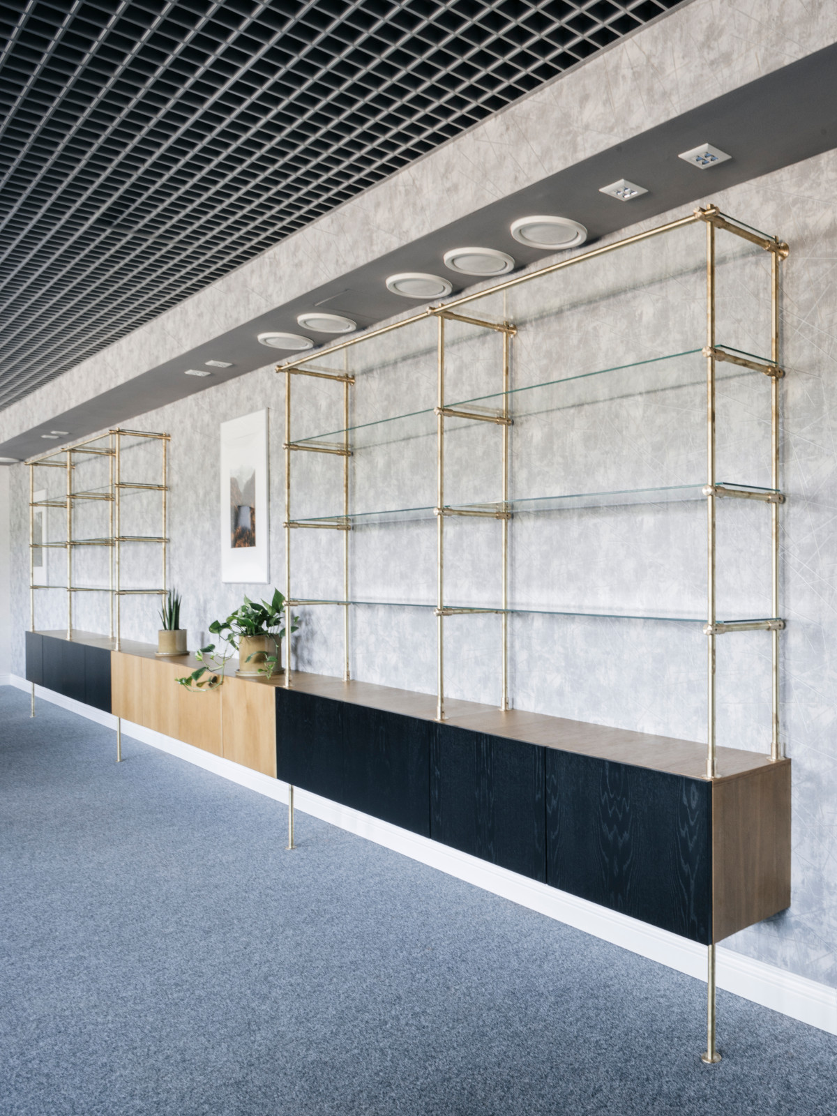 КП Репино парк