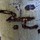 Last commented by greenwater87