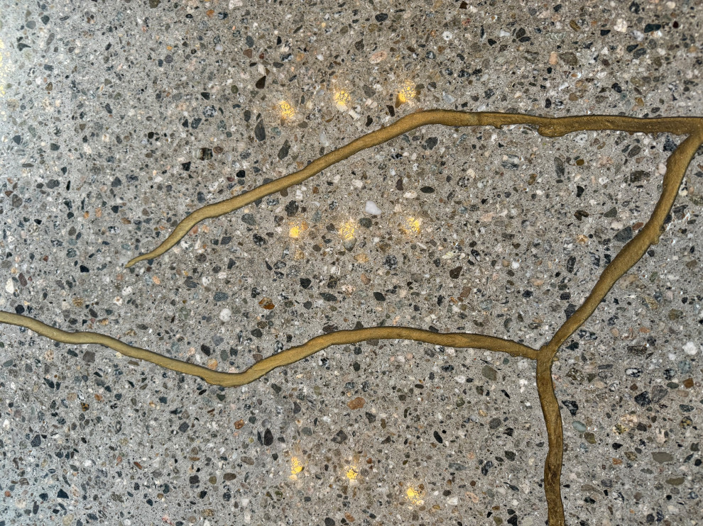 Japanese Kintsugi Polished Concrete