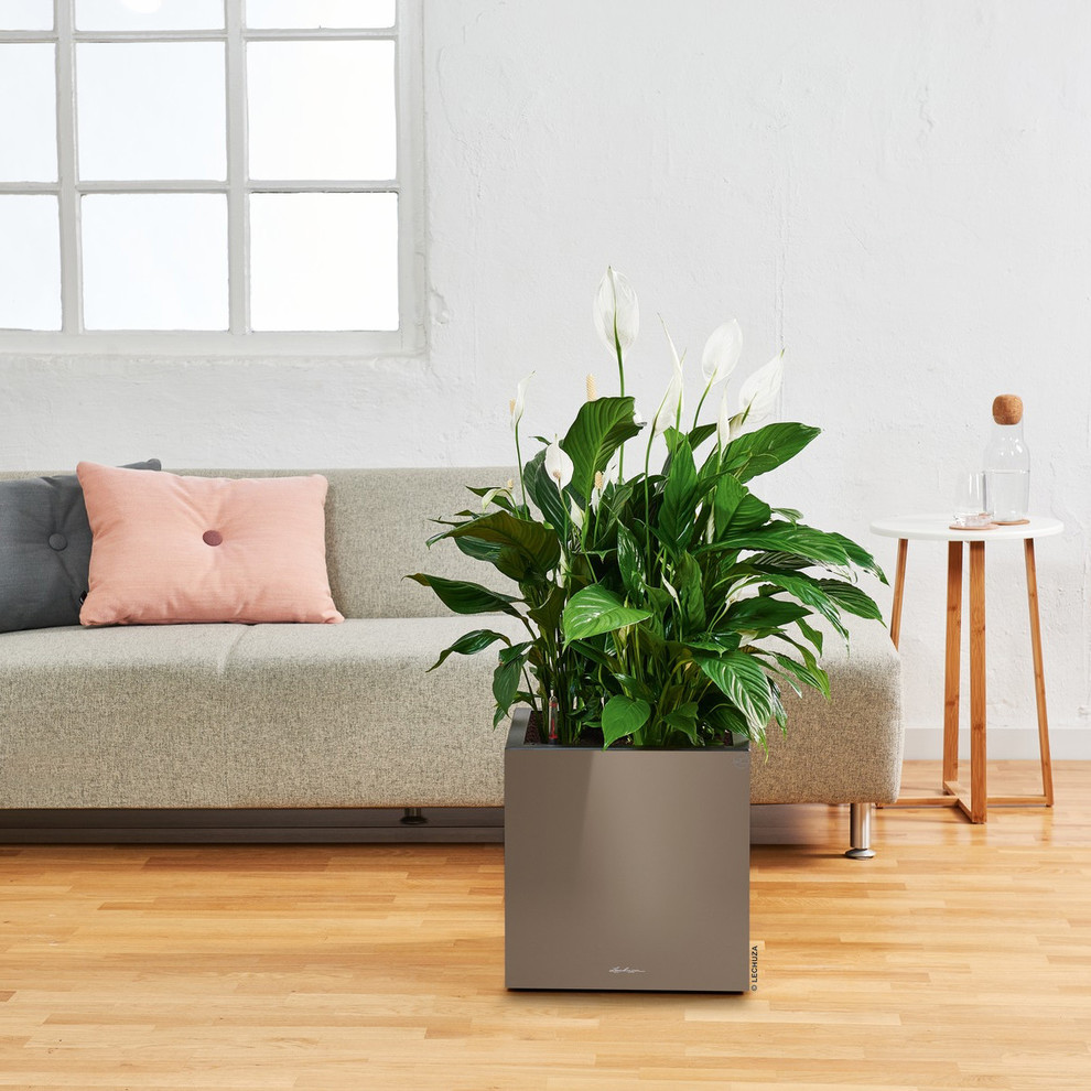 Новое в глянце!