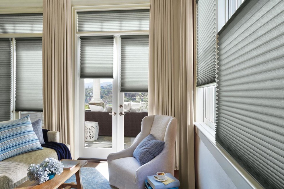 Transitional living room photo in DC Metro