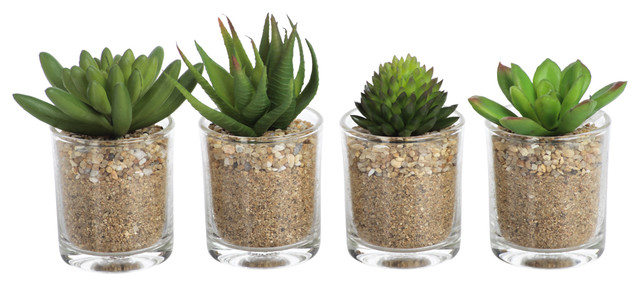 Artificial Succulent Cactus in Glass Pot, Set of 4