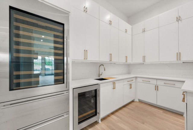 Dream Home 2025 modern-hausbar