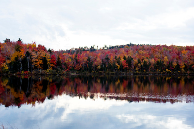 Autumn Decor & New England Road Trip exterior