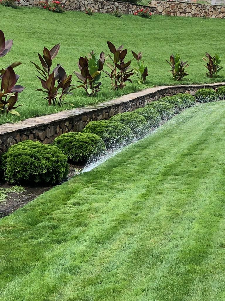 Парк Лога (Ростовская область)