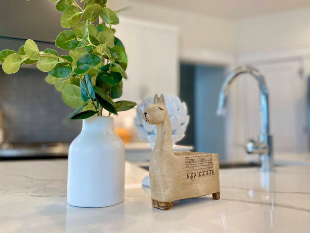 Blossom on Southwell contemporary-kitchen