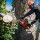 Hounslow Tree Surgeons