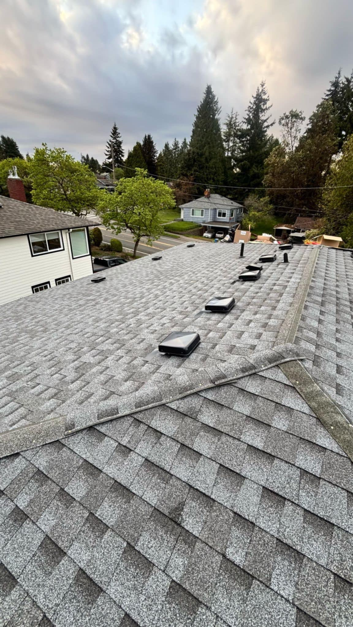 Roof Replacement