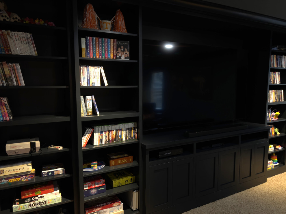 Transitional Theater Room