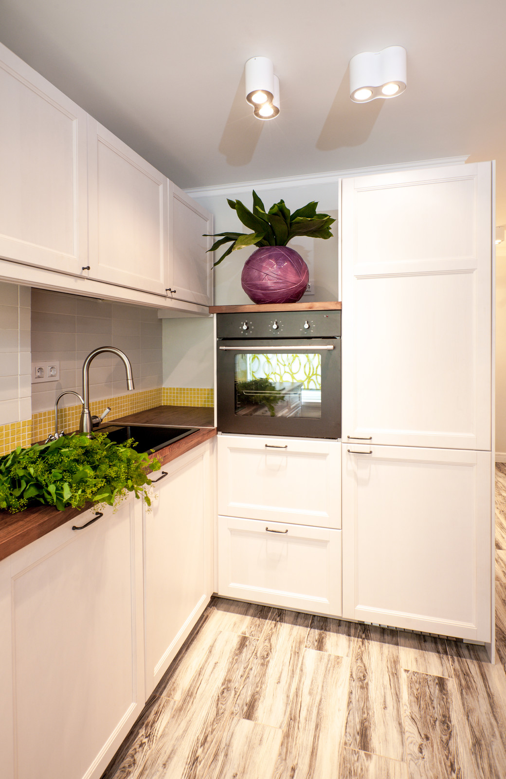 Северный вектор