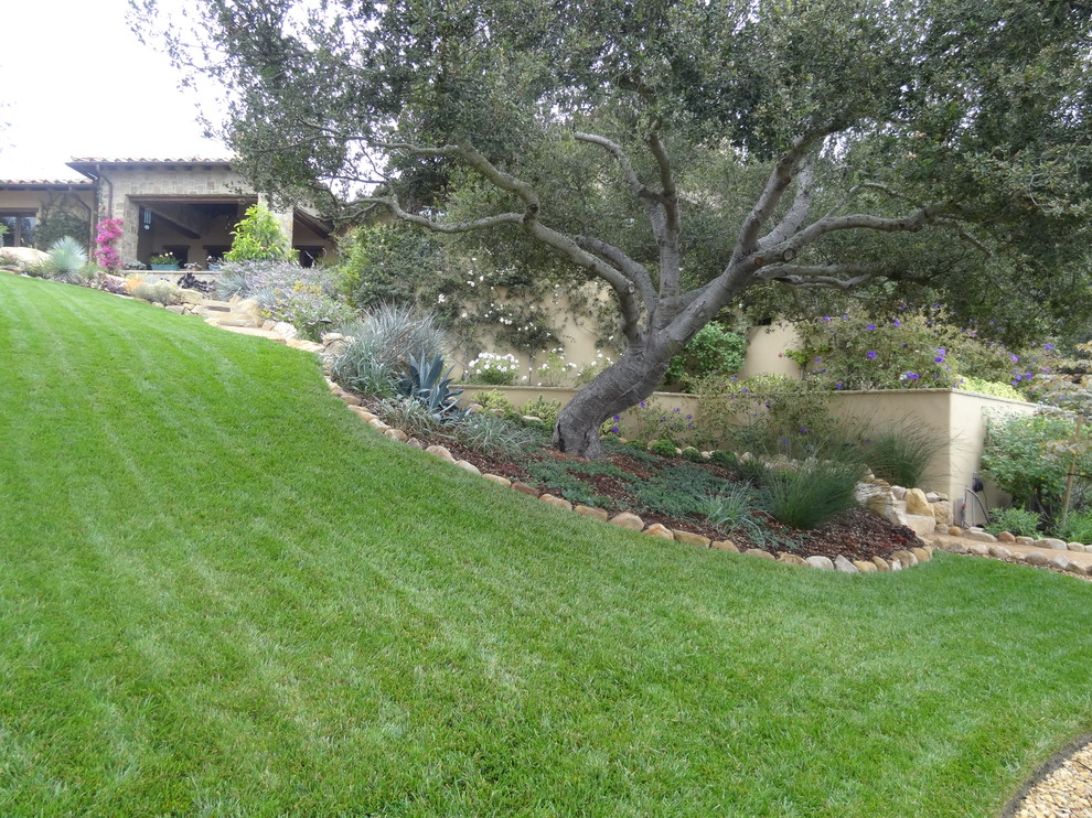 This is an example of a contemporary sloped garden in Santa Barbara with a garden path and brick pavers.