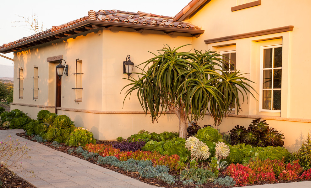 Photo of a large mediterranean front yard partial sun xeriscape in San Diego with a garden path and concrete pavers.