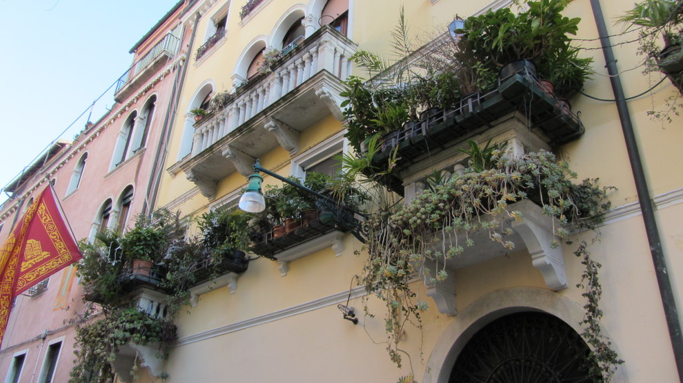 Городское озеленение