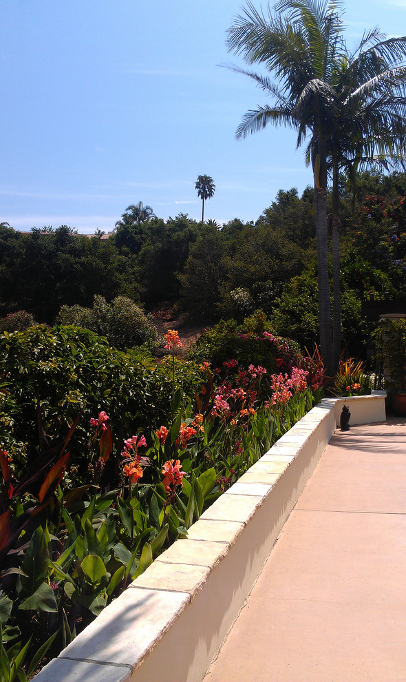 Design ideas for a tropical garden in Santa Barbara.