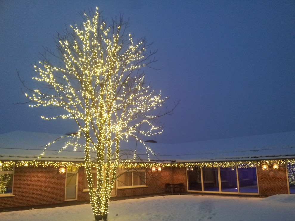 Современный сад в КП "Променад"