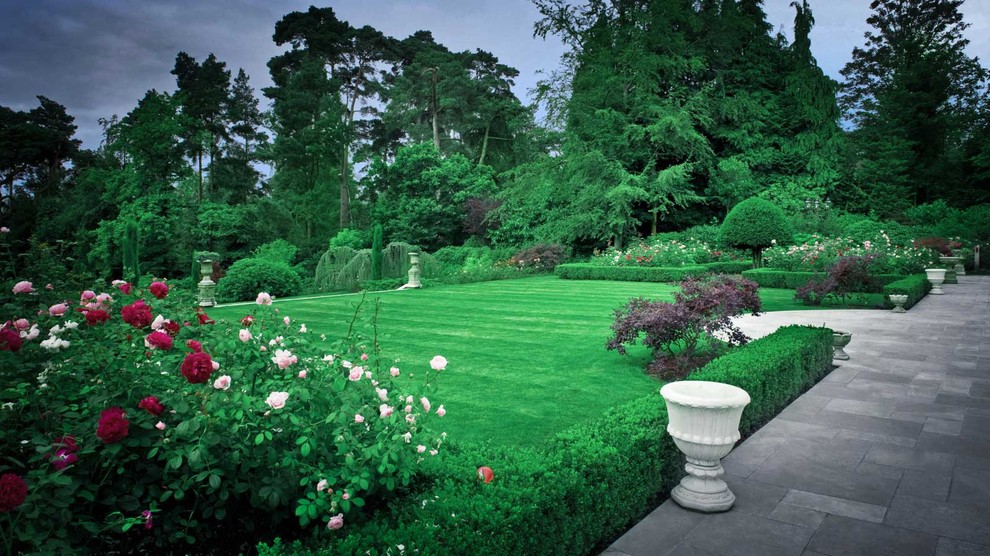 Суррей Времена Года