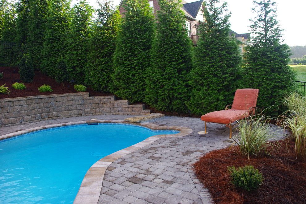 Pool - contemporary pool idea in Raleigh