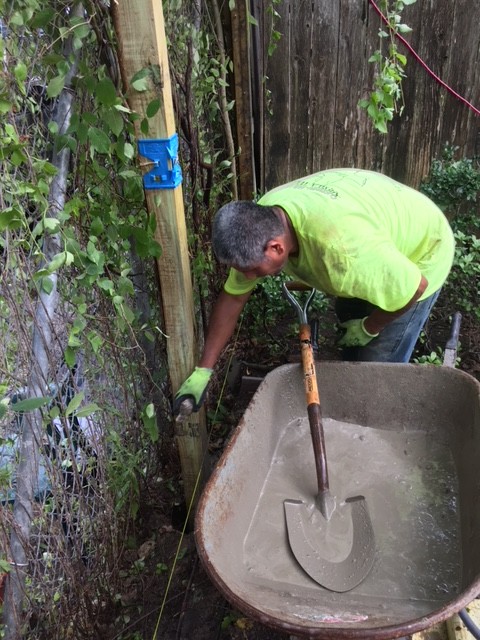 550' Perimeter Cedar Fence Replacement