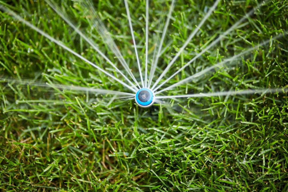 Сад в к.п. Сартаково Нижегородской области.