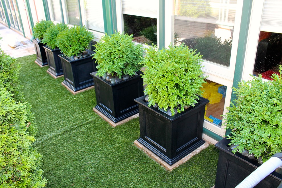Boxwood Shrubs & Resin Planters + Hardscape Chicago by RugZoom