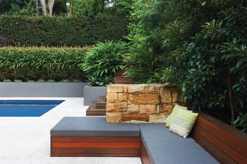 This is an example of a transitional rectangular pool in Sydney.