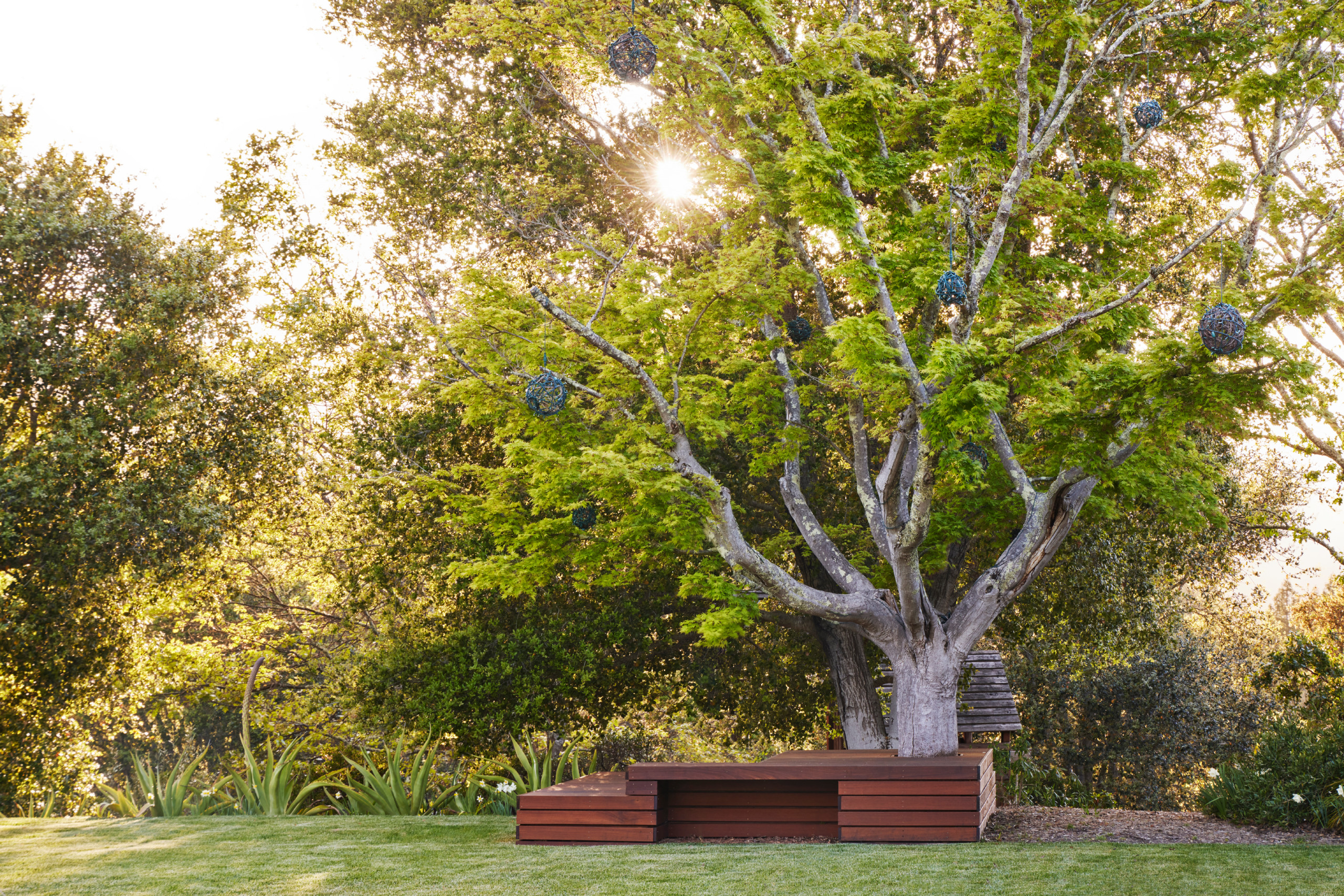 Yard of the Week: Cozy Spaces in a Beautifully Expansive Yard, image size:2560x1708