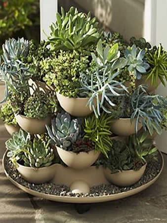 Patio / Porch Garden Planter with Cactus