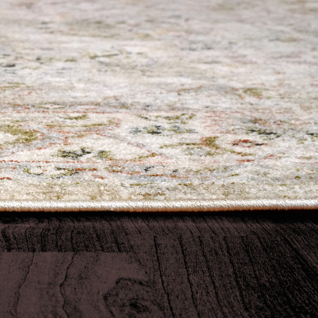 Dynamic Rugs Riley 5 X 7 Dynamic Rugs Savoy 3575 Vintage and Distressed Rug, Beige and Multi, 5 ...
