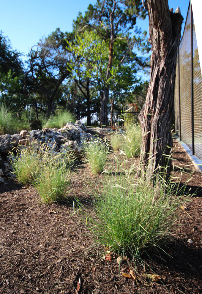 This is an example of an expansive contemporary backyard garden in Austin with a retaining wall.