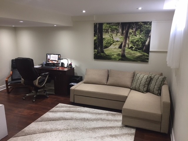 Basement Renovation -