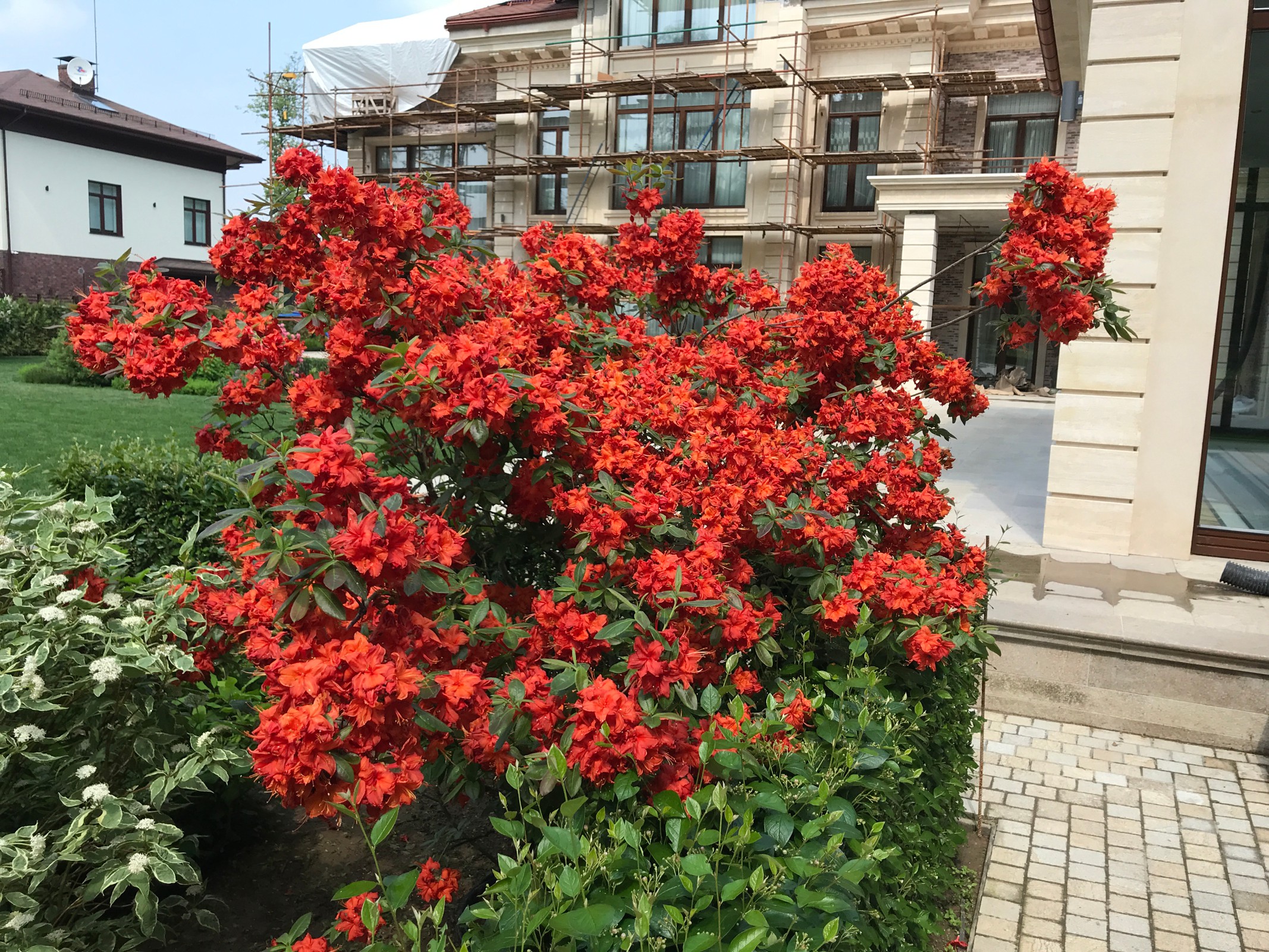 Современный ландшафтный дизайн.