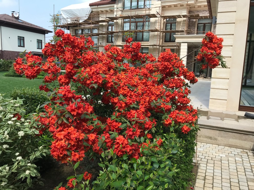 Современный ландшафтный дизайн.